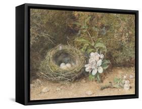 Bird's Nest with Sprays of Apple Blossoms-William Henry Hunt-Framed Stretched Canvas