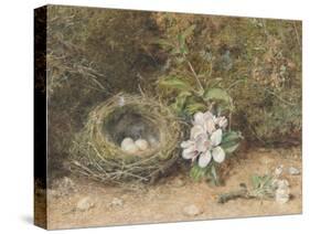 Bird's Nest with Sprays of Apple Blossoms-William Henry Hunt-Stretched Canvas