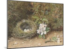 Bird's Nest with Sprays of Apple Blossoms-William Henry Hunt-Mounted Giclee Print