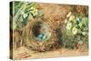 Bird's Nest with Three Blue Eggs and Primroses-William Henry Hunt-Stretched Canvas