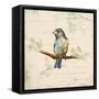 Bird Scene II-Lanie Loreth-Framed Stretched Canvas