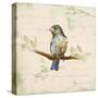 Bird Scene II-Lanie Loreth-Stretched Canvas