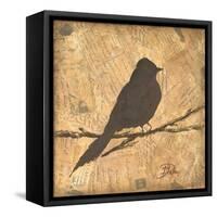 Bird Silhouette I-Patricia Pinto-Framed Stretched Canvas