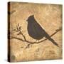 Bird Silhouette II-Patricia Pinto-Stretched Canvas