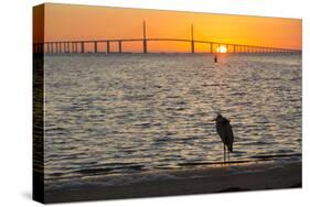 Bird Silhouetted in Front of Bridge-Lynn M^ Stone-Stretched Canvas