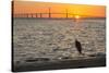 Bird Silhouetted in Front of Bridge-Lynn M^ Stone-Stretched Canvas