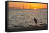 Bird Silhouetted in Front of Bridge-Lynn M^ Stone-Framed Stretched Canvas