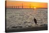 Bird Silhouetted in Front of Bridge-Lynn M^ Stone-Stretched Canvas