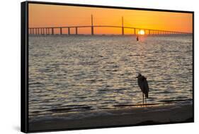 Bird Silhouetted in Front of Bridge-Lynn M^ Stone-Framed Stretched Canvas