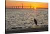 Bird Silhouetted in Front of Bridge-Lynn M^ Stone-Stretched Canvas