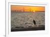 Bird Silhouetted in Front of Bridge-Lynn M^ Stone-Framed Photographic Print