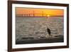 Bird Silhouetted in Front of Bridge-Lynn M^ Stone-Framed Photographic Print