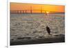 Bird Silhouetted in Front of Bridge-Lynn M^ Stone-Framed Photographic Print