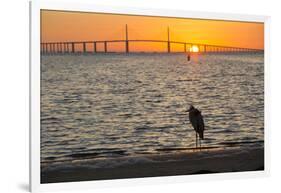 Bird Silhouetted in Front of Bridge-Lynn M^ Stone-Framed Photographic Print