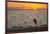 Bird Silhouetted in Front of Bridge-Lynn M^ Stone-Framed Photographic Print