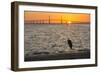Bird Silhouetted in Front of Bridge-Lynn M^ Stone-Framed Photographic Print