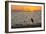 Bird Silhouetted in Front of Bridge-Lynn M^ Stone-Framed Photographic Print