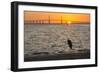 Bird Silhouetted in Front of Bridge-Lynn M^ Stone-Framed Photographic Print