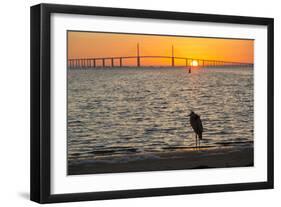 Bird Silhouetted in Front of Bridge-Lynn M^ Stone-Framed Photographic Print