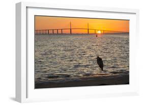 Bird Silhouetted in Front of Bridge-Lynn M^ Stone-Framed Photographic Print