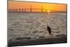 Bird Silhouetted in Front of Bridge-Lynn M^ Stone-Mounted Photographic Print