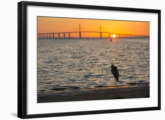 Bird Silhouetted in Front of Bridge-Lynn M^ Stone-Framed Photographic Print