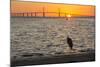 Bird Silhouetted in Front of Bridge-Lynn M^ Stone-Mounted Photographic Print