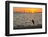 Bird Silhouetted in Front of Bridge-Lynn M^ Stone-Framed Photographic Print