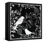 Bird Silo-Lula Bijoux-Framed Stretched Canvas