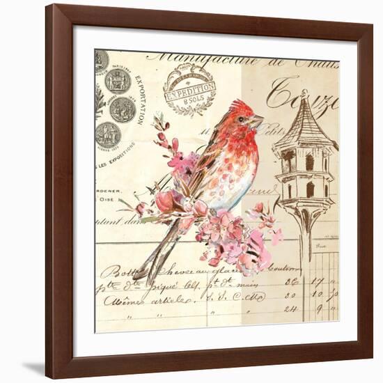 Bird Sketch 1-Chad Barrett-Framed Art Print