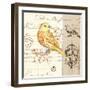 Bird Sketch 2-Chad Barrett-Framed Art Print