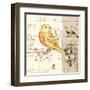 Bird Sketch 2-Chad Barrett-Framed Art Print