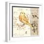 Bird Sketch 2-Chad Barrett-Framed Art Print