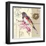 Bird Sketch 3-Chad Barrett-Framed Art Print