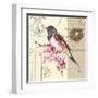 Bird Sketch 3-Chad Barrett-Framed Art Print