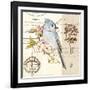 Bird Sketch 4-Chad Barrett-Framed Art Print