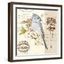 Bird Sketch 4-Chad Barrett-Framed Art Print