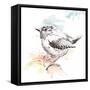 Bird Sketch II-Patricia Pinto-Framed Stretched Canvas