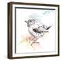 Bird Sketch II-Patricia Pinto-Framed Art Print