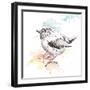 Bird Sketch II-Patricia Pinto-Framed Art Print