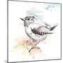 Bird Sketch II-Patricia Pinto-Mounted Art Print