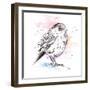 Bird Sketch III-Patricia Pinto-Framed Art Print