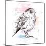 Bird Sketch III-Patricia Pinto-Mounted Art Print