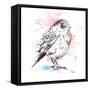 Bird Sketch III-Patricia Pinto-Framed Stretched Canvas