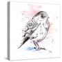 Bird Sketch III-Patricia Pinto-Stretched Canvas