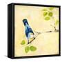 Bird Song II-Jill Martin-Framed Stretched Canvas