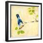 Bird Song II-Jill Martin-Framed Art Print