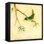 Bird Song III-Jill Martin-Framed Stretched Canvas