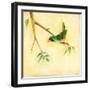 Bird Song III-Jill Martin-Framed Art Print