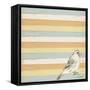 Bird Stripes-Tammy Kushnir-Framed Stretched Canvas